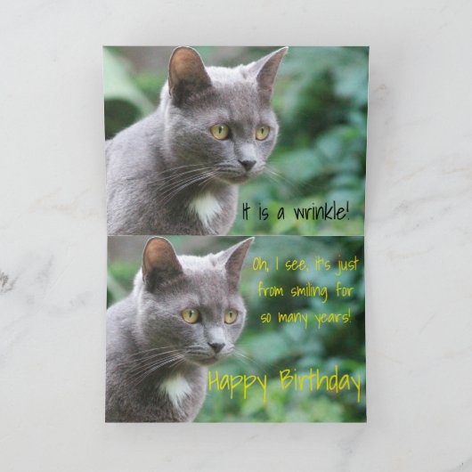 子おもしろいネコ カード (内部)