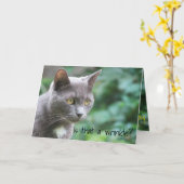 子おもしろいネコ カード (黄色い花)