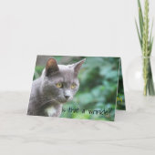 子おもしろいネコ カード (正面)