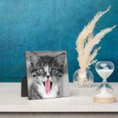 子おもしろい天 フォトプラーク (インサイチュ)