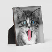 子おもしろい天 フォトプラーク (正面)