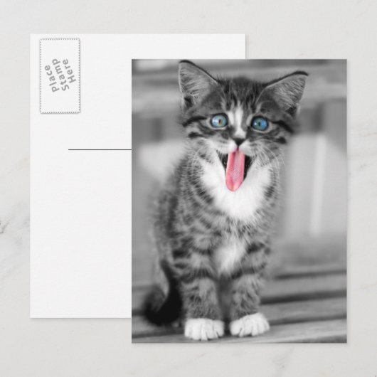 子おもしろい天 ポストカード (正面/裏面)