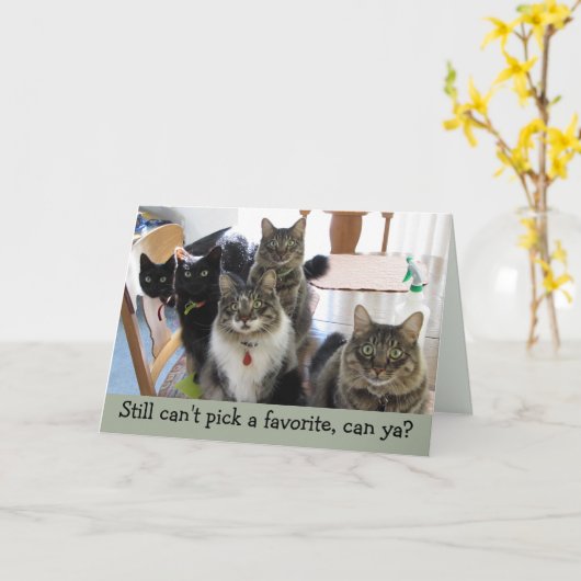 子お気に入りの父の日猫カード カード (黄色い花)