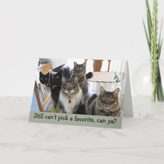 子お気に入りの父の日猫カード カード (正面)