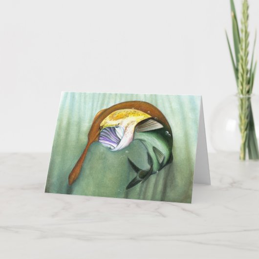 子どもが勝つアートワーク:タヌキ シーズンカード (正面)