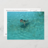 子どものアシカ ポストカード (正面/裏面)