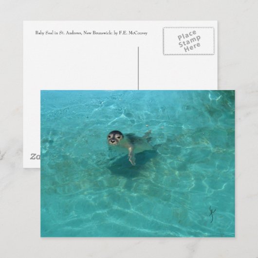 子どものアシカ ポストカード (正面/裏面)