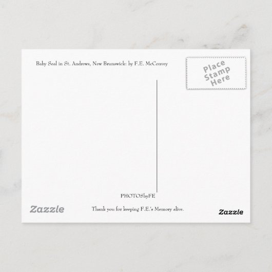 子どものアシカ ポストカード (裏面)