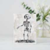 子のスケルトンはがき ポストカード (スタンド正面)