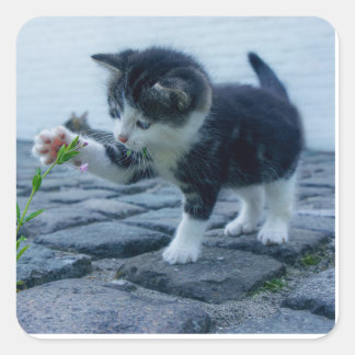 子よくはしゃぐ人 スクエアシール