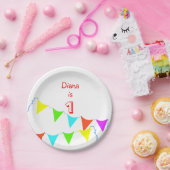 子カラフル供の誕生会 ペーパープレート (パーティー)