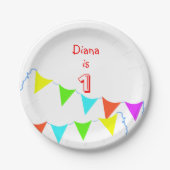 子カラフル供の誕生会 ペーパープレート (正面)