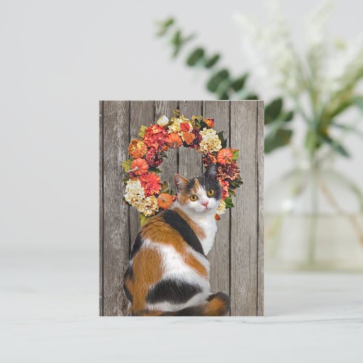 「子ガメ」のはがき ポストカード (スタンド正面)