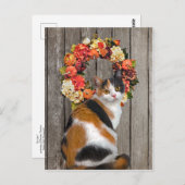 「子ガメ」のはがき ポストカード (正面/裏面)