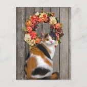 「子ガメ」のはがき ポストカード (正面)