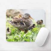 子ガモによって囲まれるメスのマガモ マウスパッド (マウス)