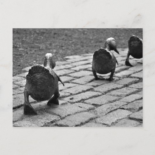 子ガモのための方法を作って下さい ポストカード (正面)