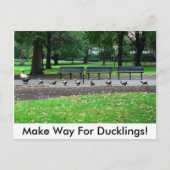 子ガモのための方法を作って下さい! ポストカード (正面)