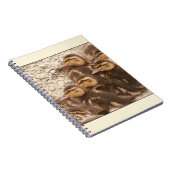 子ガモのノート ノートブック (右側)