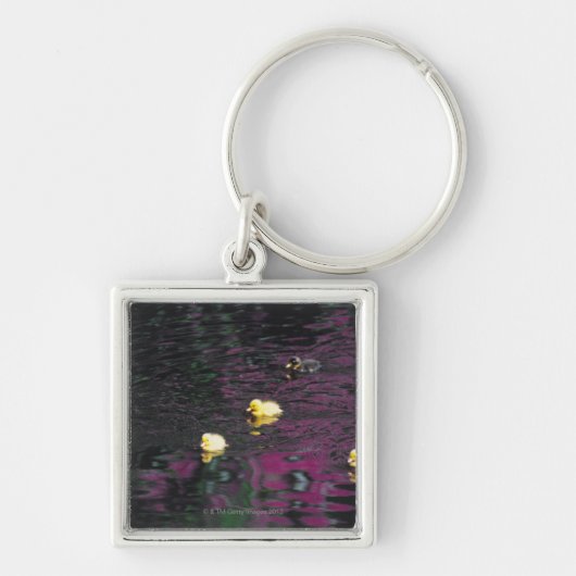 子ガモ キーホルダー (正面)