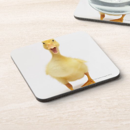 子ガモ コースター (左側)