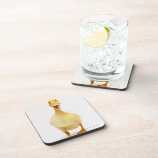 子ガモ コースター (右側)