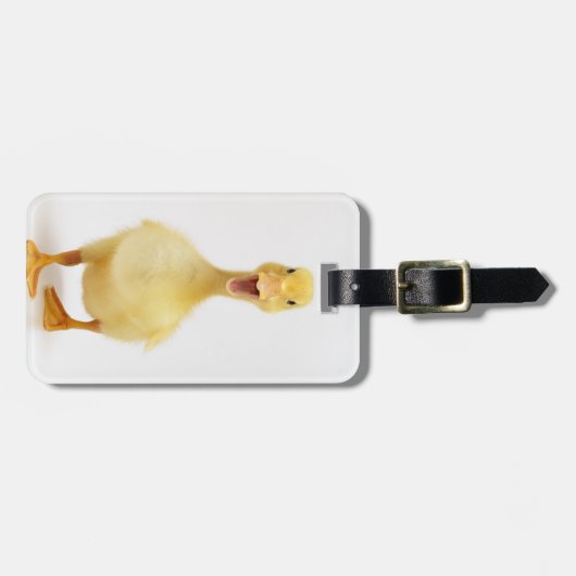 子ガモ ラゲッジタグ (正面横)