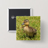 子ガモ 缶バッジ (正面&裏面)