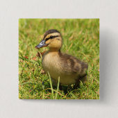 子ガモ 缶バッジ (正面)