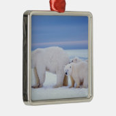 子グマと一緒にいるホッキョクグマの母 メタルオーナメント (右)