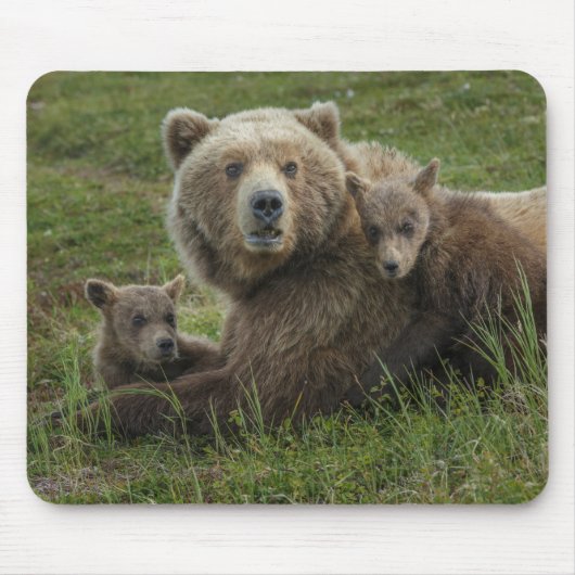 子グマと母グマの愛情たっぷりの触れ合い マウスパッド (正面)