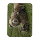 子グマと母グマの愛情たっぷりの触れ合い マグネット (縦)