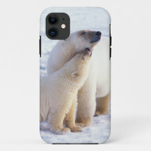 子グマと親のホッキョクグマ、群れ iPhone 11 ケース