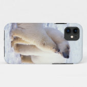 子グマと親のホッキョクグマ、群れ Case-Mate iPhoneケース (裏面(横))