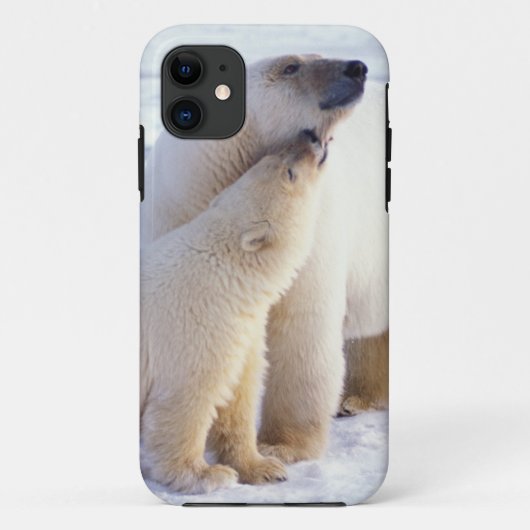 子グマと親のホッキョクグマ、群れ Case-Mate iPhoneケース (裏面)