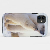 子グマと親のホッキョクグマ、群れ Case-Mate iPhoneケース (裏面(横))