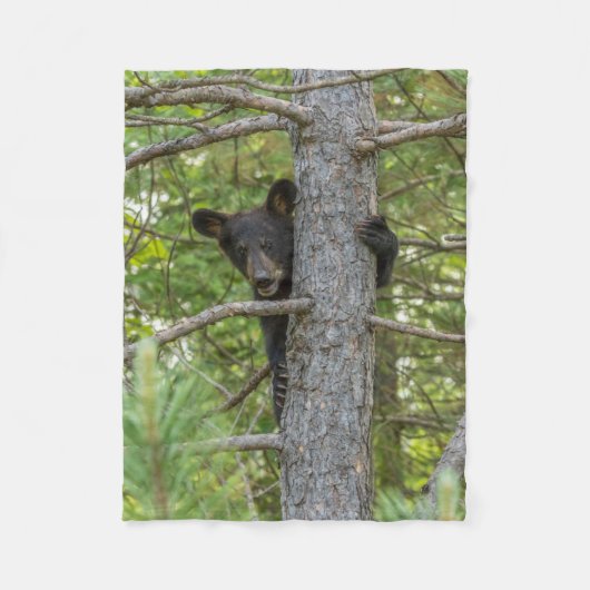 子グマの木登り フリースブランケット (正面)
