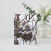 子ネコおよび鳥の巣のイースターかわいい郵便はがき シーズンポストカード (スタンド正面)