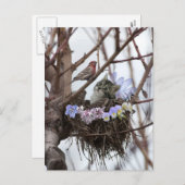 子ネコおよび鳥の巣のイースターかわいい郵便はがき シーズンポストカード (正面/裏面)