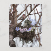 子ネコおよび鳥の巣のイースターかわいい郵便はがき シーズンポストカード (正面)