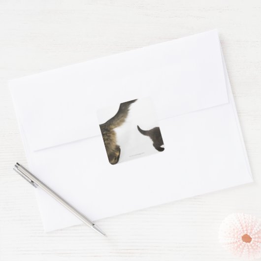 子ネコが母尾を見上げる スクエアシール (封筒)