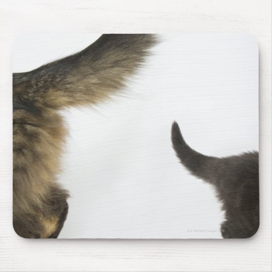 子ネコが母尾を見上げる マウスパッド (正面)