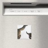 子ネコが母尾を見上げる マグネット (インサイチュ (食洗機))