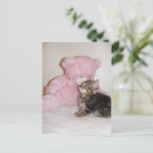 子ネコとテディ・ベア・ポストカード ポストカード (スタンド正面)