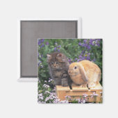 子ネコと耳のウサギが立っている様子 マグネット (正面/裏面)