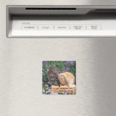 子ネコと耳のウサギが立っている様子 マグネット (インサイチュ (食洗機))