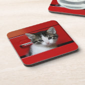 子ネコのかいま見ること コースター (左側)