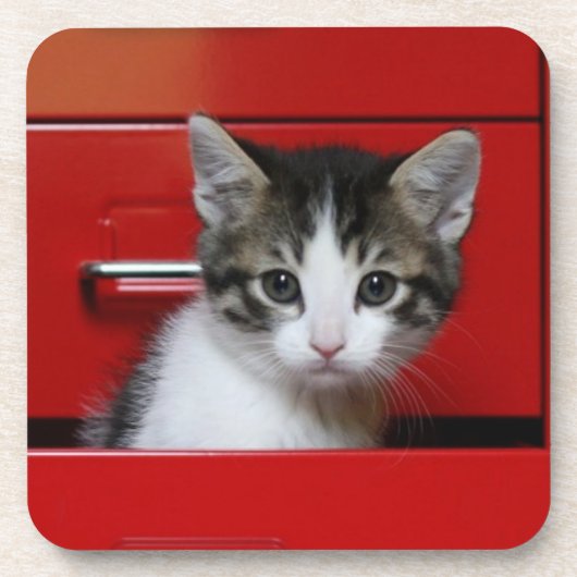 子ネコのかいま見ること コースター (正面)