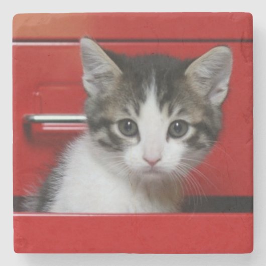 子ネコのかいま見ること ストーンコースター (正面)