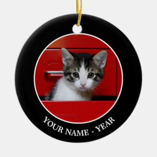 子ネコのかいま見ること セラミックオーナメント